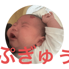 Kana_20241204082546