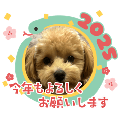 hitomi_20241203192634