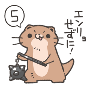 kagekide kahogona kawauso5