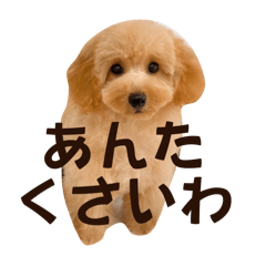 oratti_20241204101313