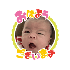 kong_20241203200906
