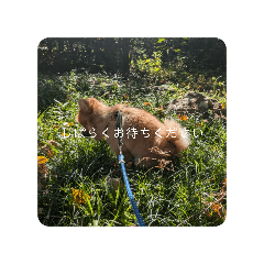 Rei_20241203200103