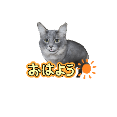 kumi_20241203220236