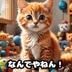 A kitten speaking in Kansai dialect.