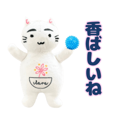 nakamai_20241203112350