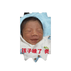 小寶貝泰