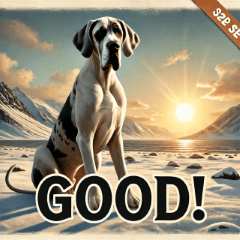 Cute New Year's Sunrise Great Dane1