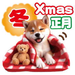 かわいい♡柴犬♡冬、正月、クリスマス