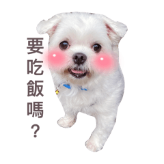 蕃波米呀莫啾