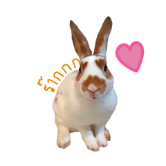 Okine__o_20241204170231