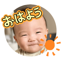 hikari_20241204170121