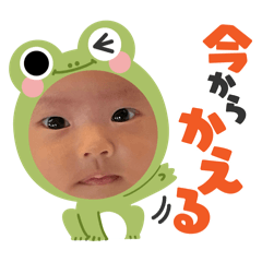 M.kako3
