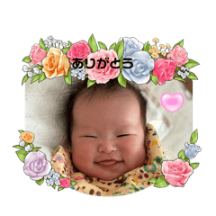 chiitan_20241204192020