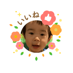 ms_20241204193135