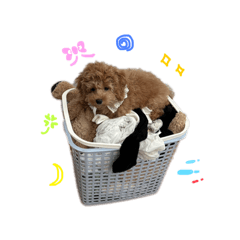 nasuchan_20241204205103