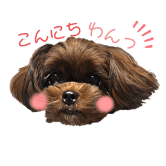 kana_20241204220501