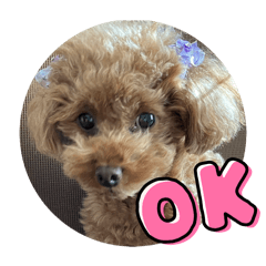 MITYO_20241204220149