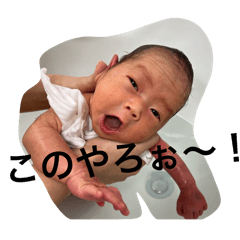 i_20241204163829