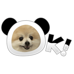 mai_20241204211432