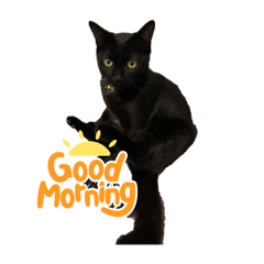 chihiro_20241204225615