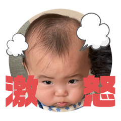 hikari_20241204230924