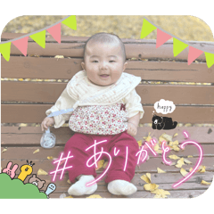 LINO_20241205120733