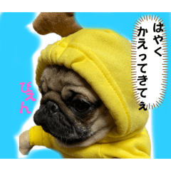 saku_20241205125516