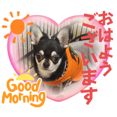 keiko_20241205125235