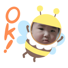 syo_20241205125528