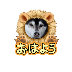 rei_20241205130626