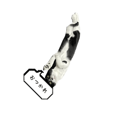 n_20241204232957