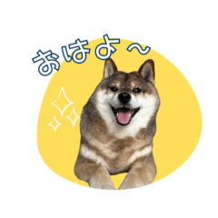 azuhana_20241205132131