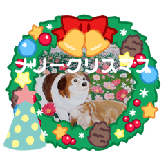keiko_20241204201458