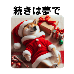 Santa costume Shiba Inu