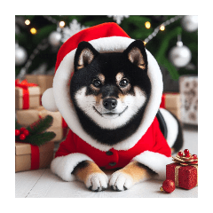 [Forarrangement] BlackShiba Inu in Santa