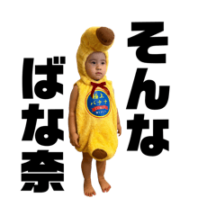 papa_20241205014702
