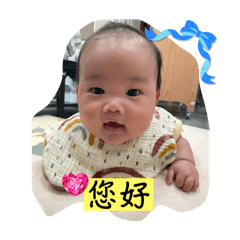 木木的日常2024.12