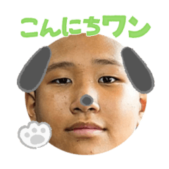 Uchinoko stamp_2024120533002