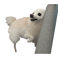 Puni噗妮2重量版