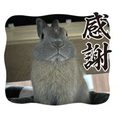 MITSUKI_20241205142455