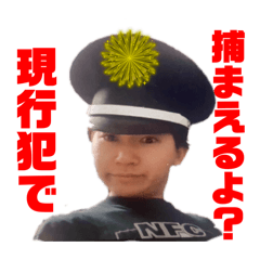 Tsuppy_20241205110438