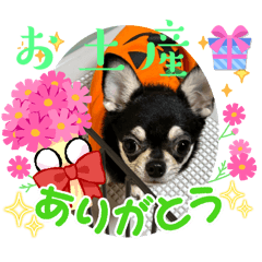 keiko_20241205153329