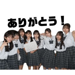 TEST_20241205142533