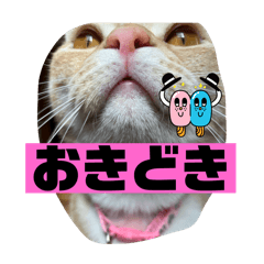 CHIHIRO_20241205155612