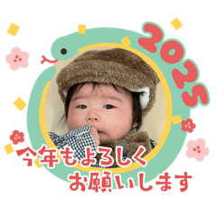 mo_20241205173004