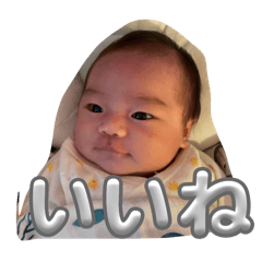 koto_20241205165846