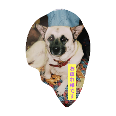 chiyo_202412051714