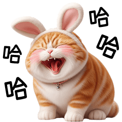 cute Orange cat rabbit ears [TW]