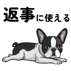 french bulldog reply Sticer