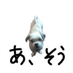 marunokazoku_20241205180602